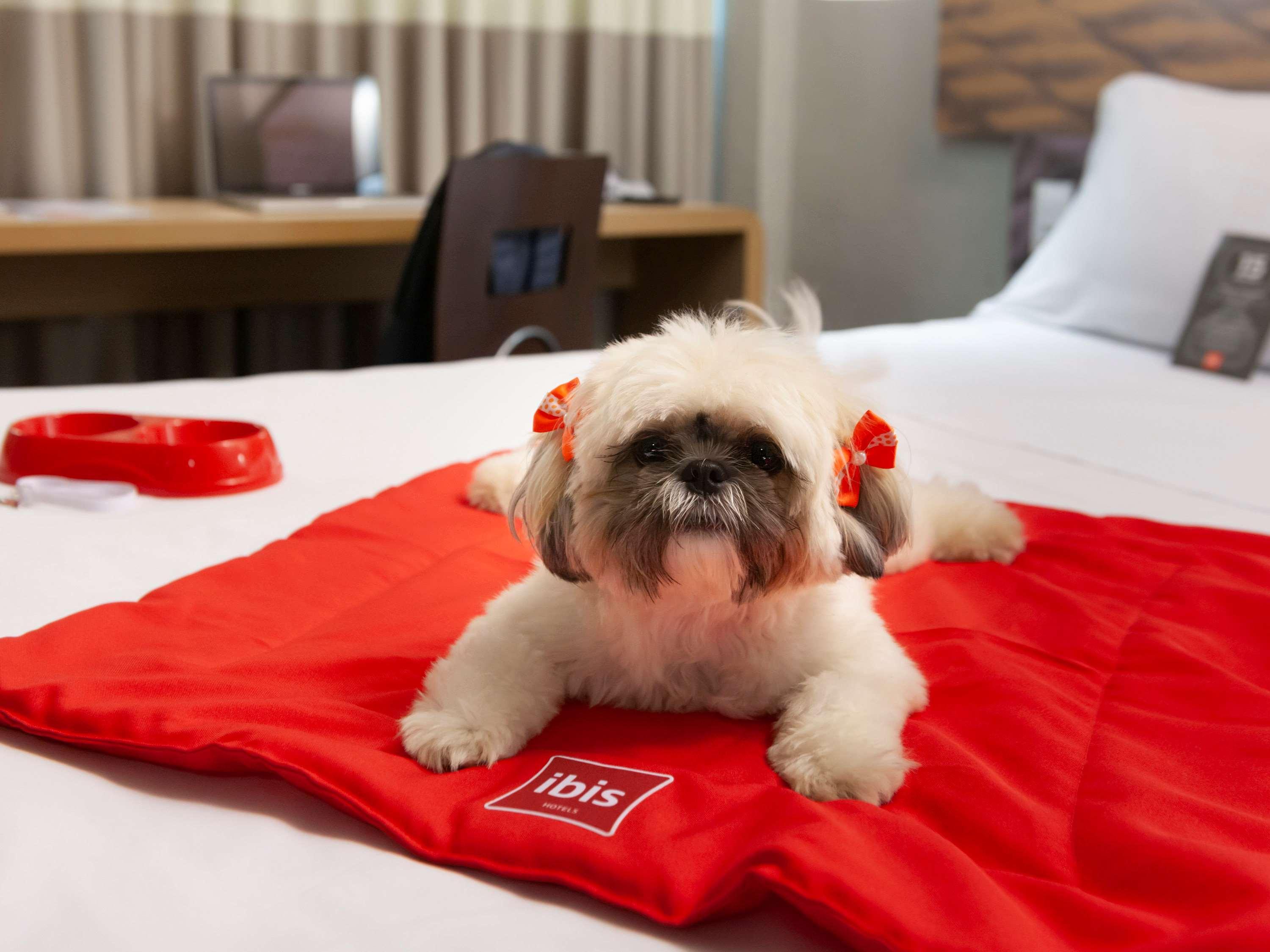 Ibis Teresina Hotel Kültér fotó